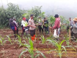 Polsek Cimanggung Kerja Bareng PT. Coca Cola Amatil Indonesia Hijaukan Lokasi Wisata,