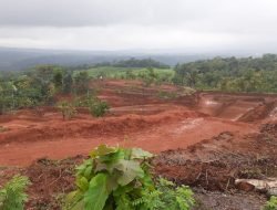 Ditengah Wabah Pandemi Covid 1-9, Tanah Penganonan Desa Cijambe Digunakan Sirkuit Tanpa Ijin