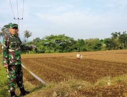 Tingkatkan Hasil Pertanian, Ratusan Tumbak Tanah Kodim 0610 Sumedang Ditanami Bawang