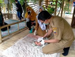 Bayi Perempuan Masih Bertali Pusar Ditemukan Warga di Sebuah Gubug