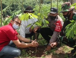 Coca-Cola EPI Sumedang Bersama Desa Sukadana Lakukan Penanaman 1.500  Pohon