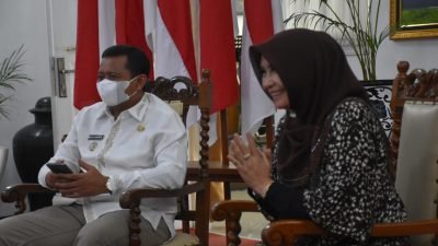 Sumedang Sabet Penghargaan Lagi, Kali Ini Juara Kedua Inovasi Cegah Stunting