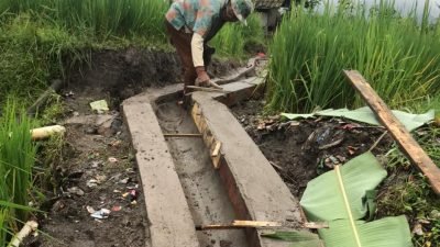 Maksimalkan Hasil Tani, Desa Boros Bangun Irigasi Saluran Air