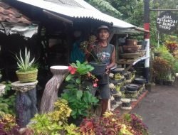 “Jatuh Bangun” Nasib Si Penjual Bunga Yang Kini Berbuah Manis