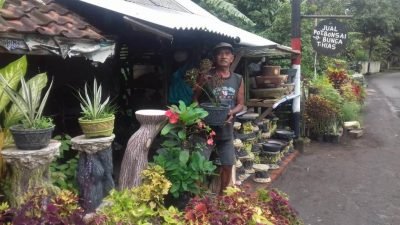 “Jatuh Bangun” Nasib Si Penjual Bunga Yang Kini Berbuah Manis