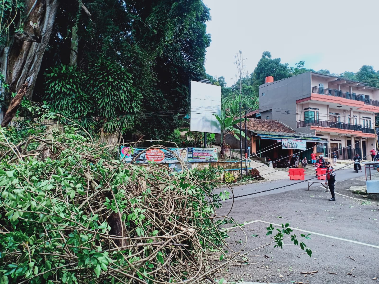 Pohon beringin yang diperkirakan berusia ratusan tahun roboh dan menimpa kabel listrik di depan Terminal Kecamatan Rancakalong Kabupaten Sumedang. Senin 28 Maret 2022