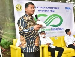 Seratus Nasabah PNM Mekaar di Sumedang Ikuti Pelatihan Budidaya Kangkung