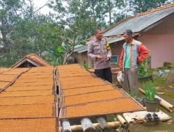 Peduli UMKM, Bhabinkamtibmas Polsek Pamulihan Sambangi Petani Tembakau