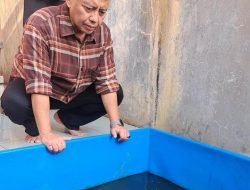 Kreatif, Posyandu di Kecamatan Cisarua Beternak Lele