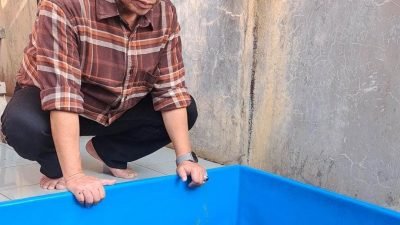 Pengembangan Telepon ditinjau Pj Bupati Sumedang Herman Suryatman saat Pasang Sangkur, Kamis pagi (16/11/2023).