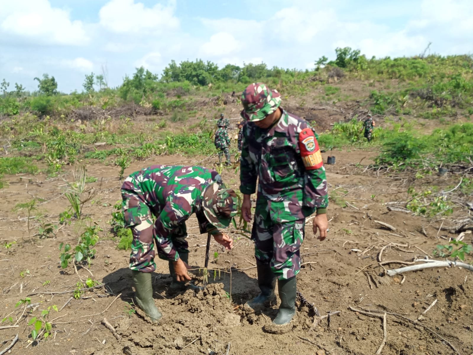 Koramil 1008/Buahdua Kodim 0610/Sumedang melaksanakan penghijauan penanaman pohon jenis buah buahan