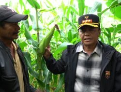 Menggali Potensi Ekonomi Kabupaten Sumedang: Menyongsong Kemajuan dan Kesejahteraan Bersama