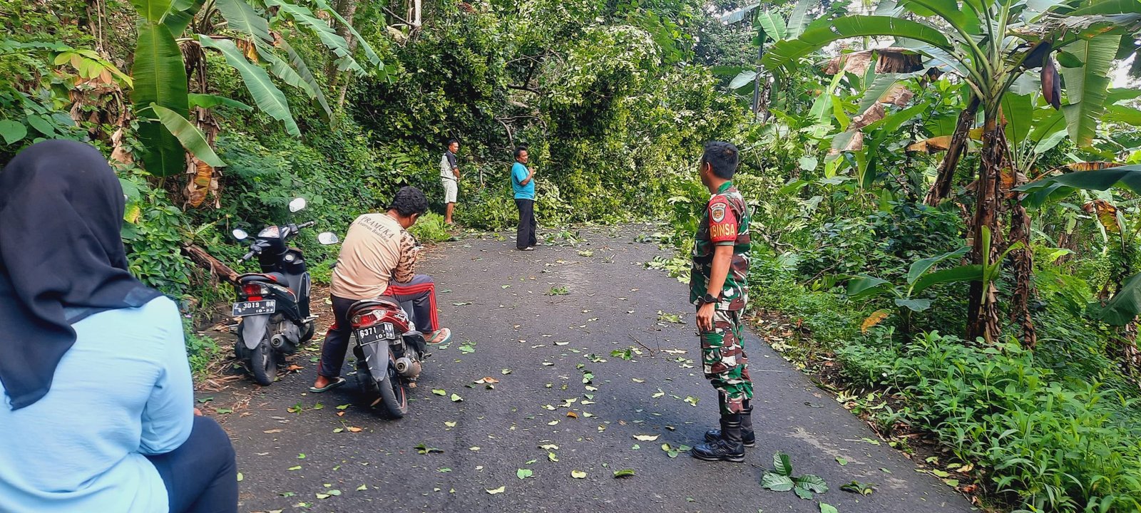 pohon tumbang yang menutupi jalan penghubung Tanjungkerta-Buahdua, di Desa Boros, Kecamatan Tanjungkerta, Kabupaten Sumedang, pada Jumat (16/02/2024)