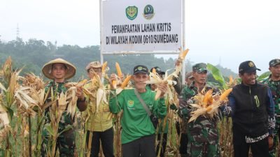 Optimasi Keamanan Pangan