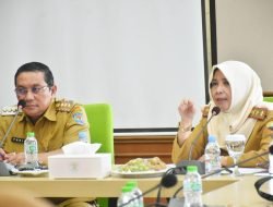 Evaluasi Kinerja BUMD Sumedang: Menuju Motor Penggerak Ekonomi Daerah
