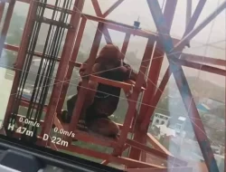 Pemuda Nekat Panjat Tower BTS di Sumedang, Diduga Alami Stres