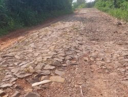 Lama Tak Tersentuh Perbaikan, Jalan Penghubung Margalaksana-Mekar Rahayu Rusak Parah
