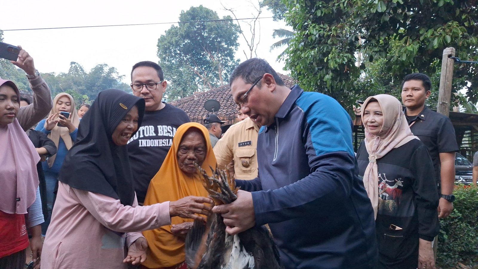 SAMAWANA, bantuan ternak