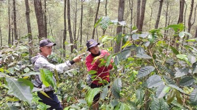 Kisah Nanang Rohimat: Mengubah Ceri Kopi Menjadi Produk Berkualitas dengan Brand Kopi Aria
