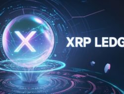 Daftar Token Teratas di XRP Ledger yang Wajib Masuk Watchlist