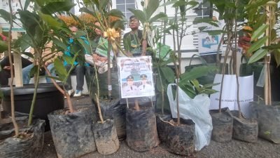 Bibit Tanaman Jadi Tanda Ucapan Selamat Dilantik