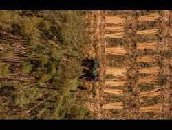 Koltiva Dorong Dialog Multi-Pemangku Kepentingan tentang Regulasi Anti Deforestasi Uni Eropa dan Kepatuhan untuk Keberlanjutan Industri