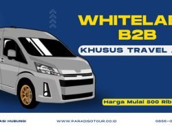 Paradiso Tour Hadirkan Layanan Transportasi Standar Pariwisata untuk Agen Travel!