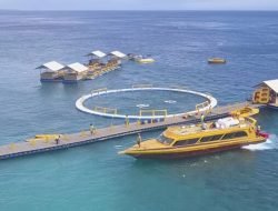 Dermaga Apung Modular: Kunci Sukses Bisnis Watersport Anda!