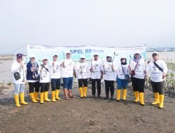 Wujudkan Dekarbonisasi, Pelindo Solusi Logistik Tanam Mangrove dan Penghijauan