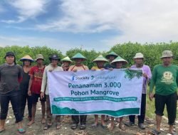 Cegah Abrasi, Stockity Tanam 3.000 Mangrove di Pesisir Semarang