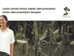 Aksi Adelia Menjadi Inspirasi bagi Gerakan Menanam Pohon