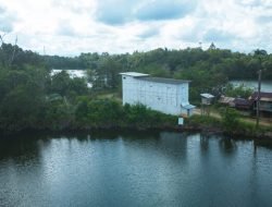 Echo Nusantara: Sarang Burung Walet Premium dari Hutan Kalimantan yang Murni dan Organik