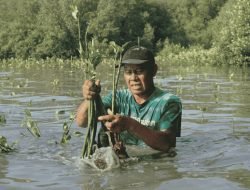 22 Mei, LindungiHutan Serukan Pentingnya Lindungi Habitat untuk Masa Depan Alam