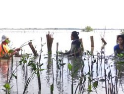 Momentum Hari Buruh, LindungiHutan Soroti Peran Komunitas untuk Konservasi Lingkungan