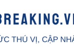 VRITIMES Luncurkan vnbreaking.vn, Platform Media Khusus untuk Menyajikan Berita dari Vietnam