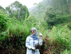 Wujud Nyata Komitmen Berkelanjutan, WSBP Kembali Tanam 318 Pohon Trembesi pada Bulan Mei 2025