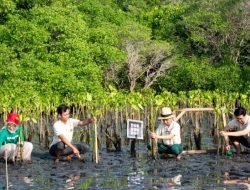 Carbon Offset Diuji Relevansinya, Ini Tanggapan Para Ahli