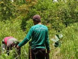 LindungiHutan Dorong Perusahaan Perluas Dampak CSR hingga Tingkat Ekosistem