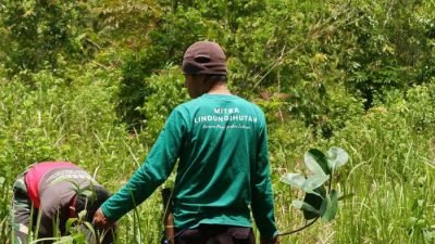 LindungiHutan Dorong Perusahaan Perluas Dampak CSR hingga Tingkat Ekosistem