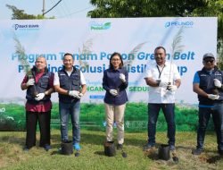 Peringati Hari Lingkungan Hidup 2025, Pelindo Solusi Logistik Perkuat Komitmen Hijau Lewat Program Tanam Pohon Green Belt