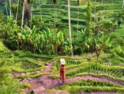 Rahasia Bali Jadi Ikon Pariwisata Berkualitas yang Mendunia!