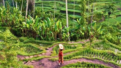 Rahasia Bali Jadi Ikon Pariwisata Berkualitas yang Mendunia!