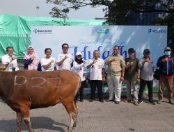 Sambut Idul Adha 1446 H, Pelindo Solusi Logistik Salurkan Hewan Kurban ke Berbagai Wilayah Indonesia