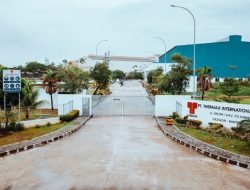 Solusi Berbasis Biomassa dari Thermax Dukung Dekarbonisasi Industri Indonesia