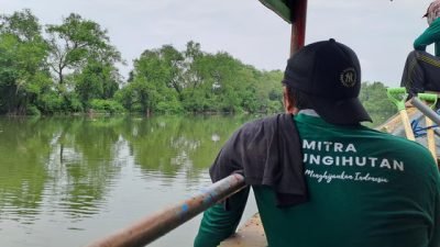 Surabaya hingga Semarang: Kota Pesisir yang Bangkit Lewat Hutan Mangrove