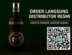 Wakasa id: Website Resmi Agen CNI untuk Pemesanan Wakasa yang Lebih Mudah dan Cepat