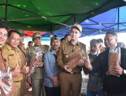 Tembakau Murah, Jerih Petani Terkikis: Pemda Sumedang Bergerak Lindungi Harapan