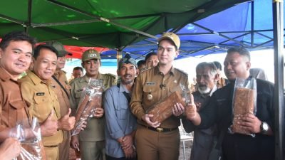 Harga Tembakau Anjlok