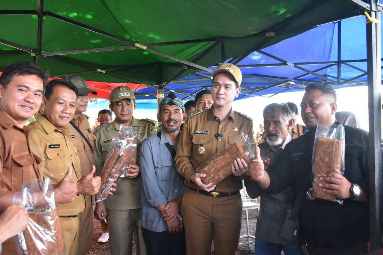 Harga Tembakau Anjlok