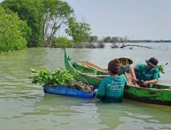 Hari Populasi Dunia, Kampanye Tanam Pohon di Bedono Jadi Contoh Mitigasi Abrasi Pesisir